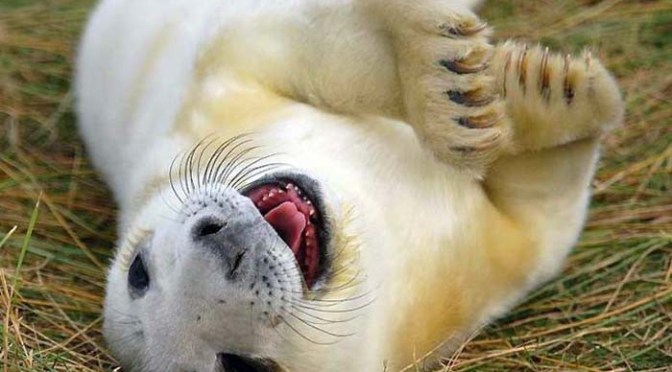 10 Astrological Life hacks