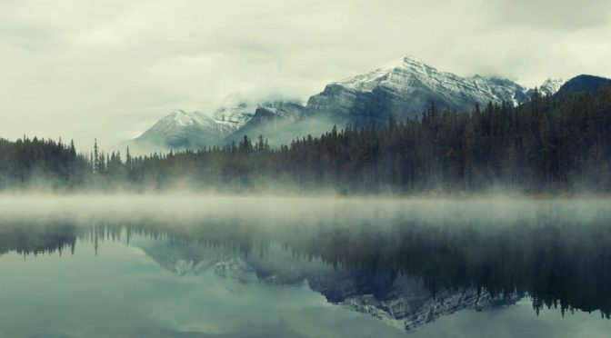 The 12th house: What is Wrong with the World