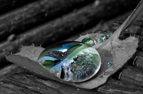 Uranus conjunct Venus in Synastry